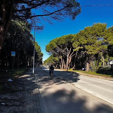 Kiki's 2 * Vlorë